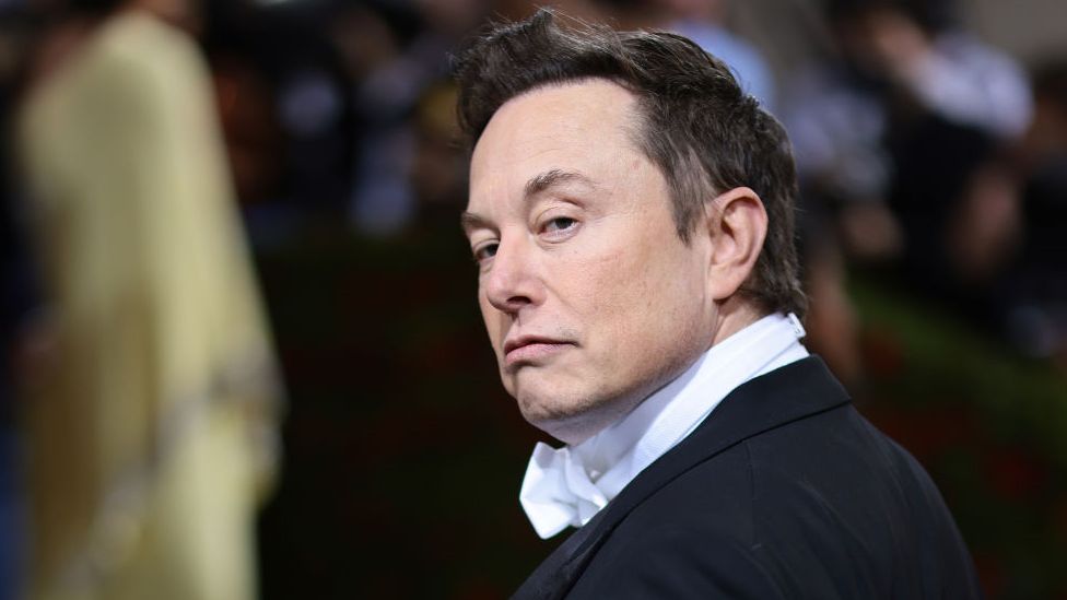 Musk, experts call for pause on AI development